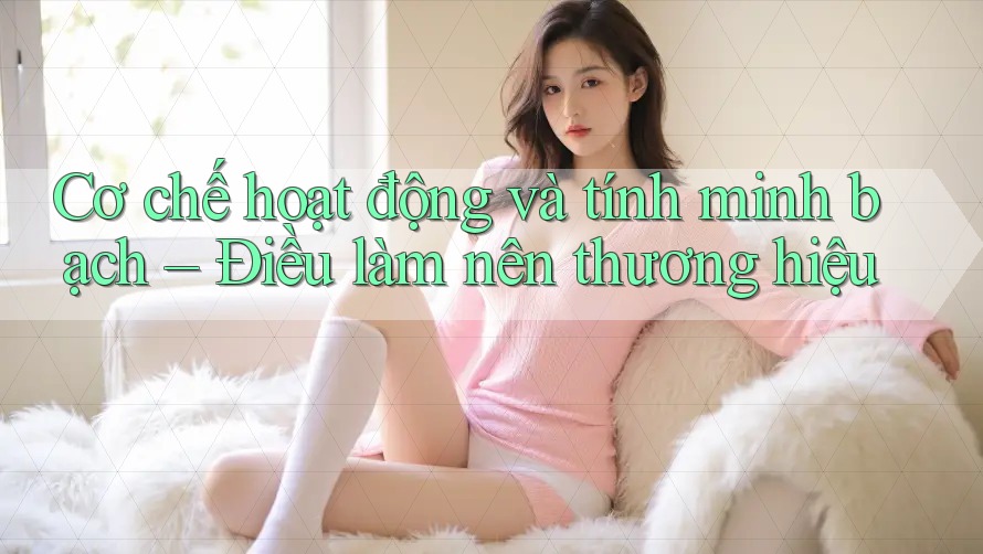 Cơ chế hoạt động và tính minh bạch – Điều làm nên thương hiệu