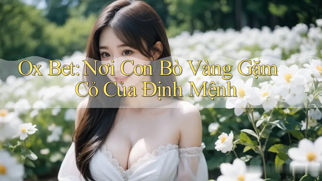 Ox Bet: Nơi Con Bò Vàng Gặm Cỏ Của Định Mệnh