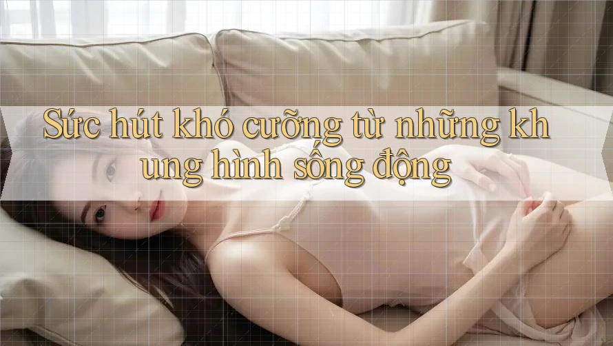 Sức hút khó cưỡng từ những khung hình sống động